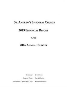2015 Finance Report img
