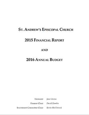 2015 Finance Report img