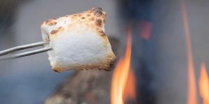S'mores Marshmallow Roasting