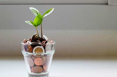 Glass with money and plant