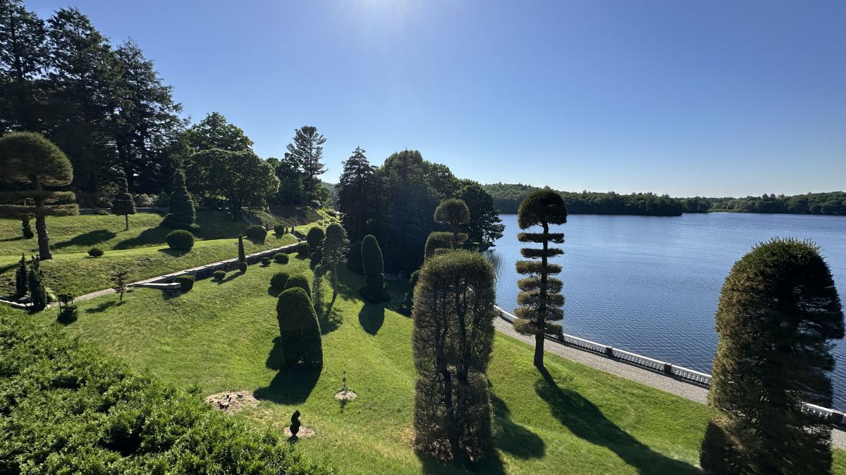 Garden with extensive lawn and topiary overlooking a pond.